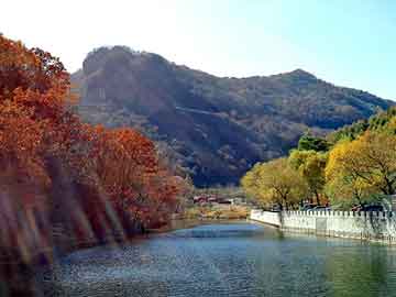 管家婆黑白马报图库，海狗鞭价格